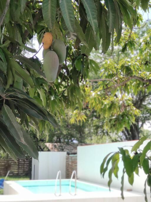 Casa Mango Amplia Con Alberca Y Cerca De La Media Luna !!! Río Verde Εξωτερικό φωτογραφία