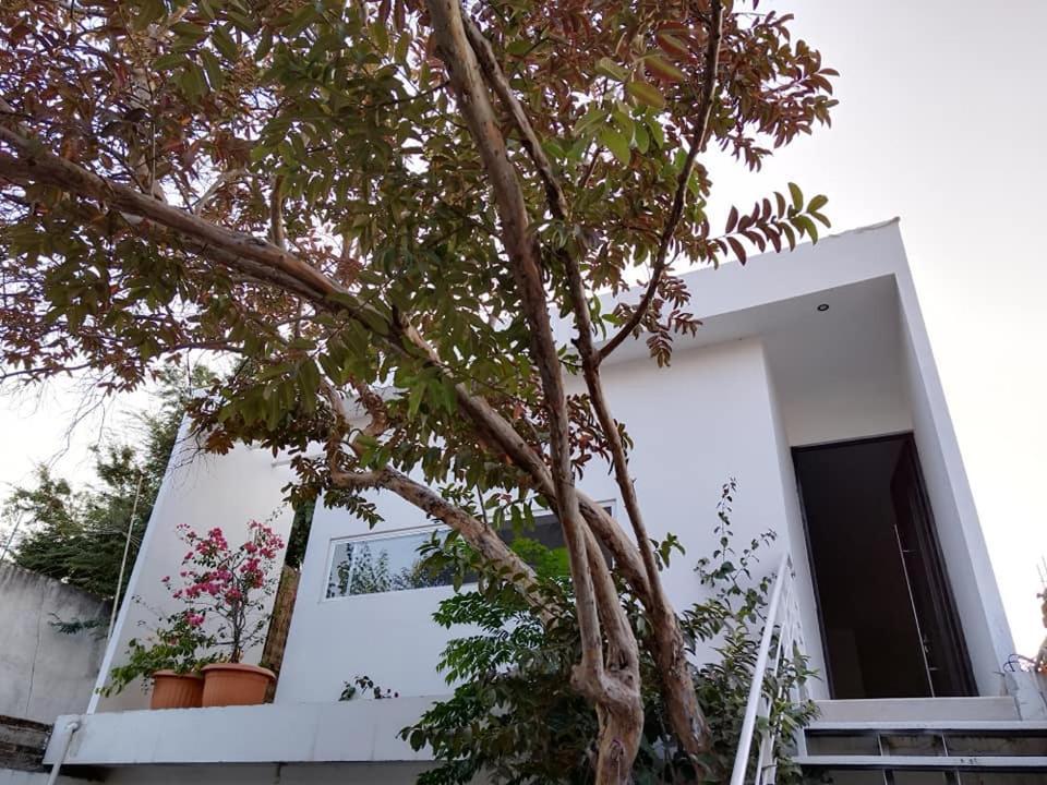 Casa Mango Amplia Con Alberca Y Cerca De La Media Luna !!! Río Verde Εξωτερικό φωτογραφία